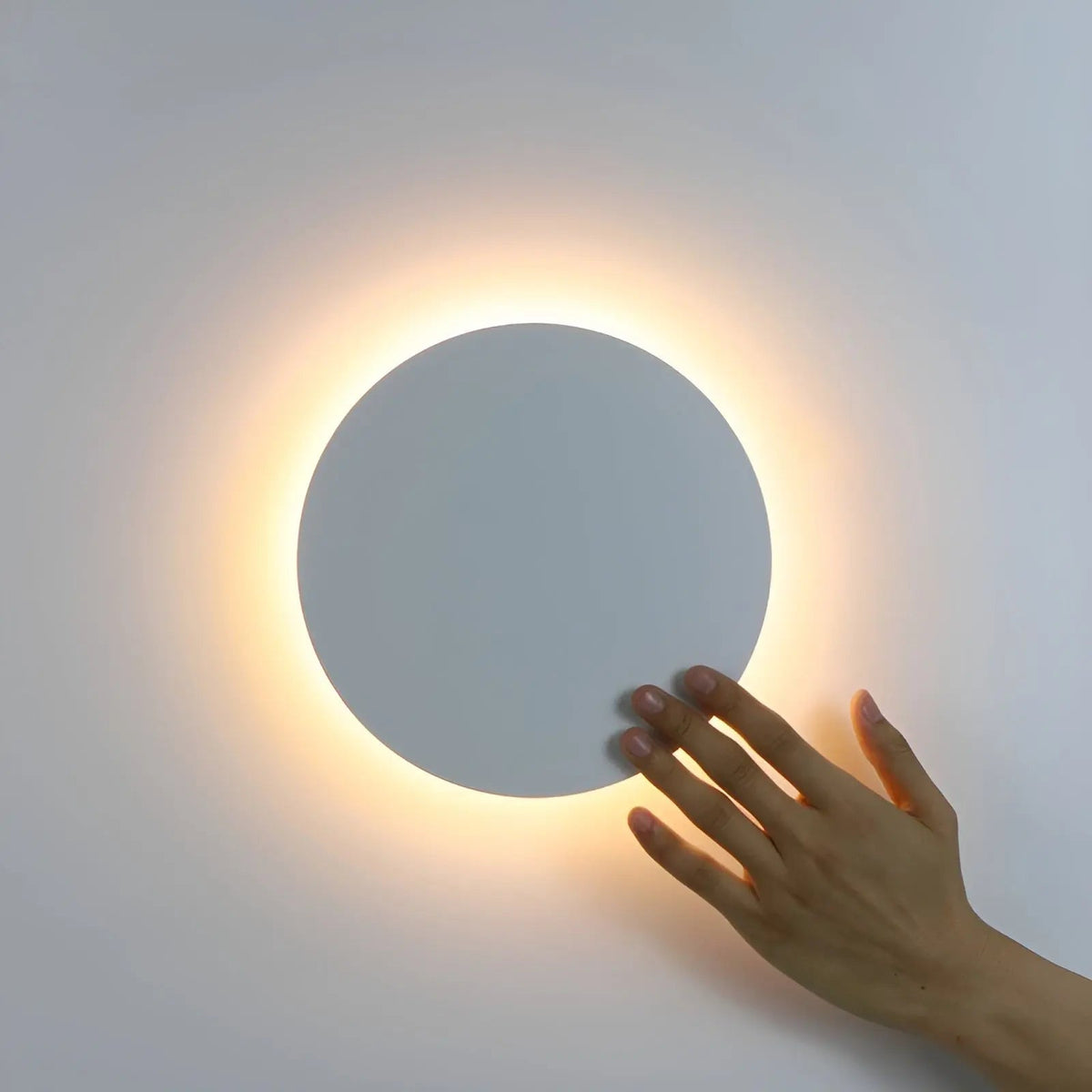 Diskova - Elegant Acrylic LED Wall Sconce