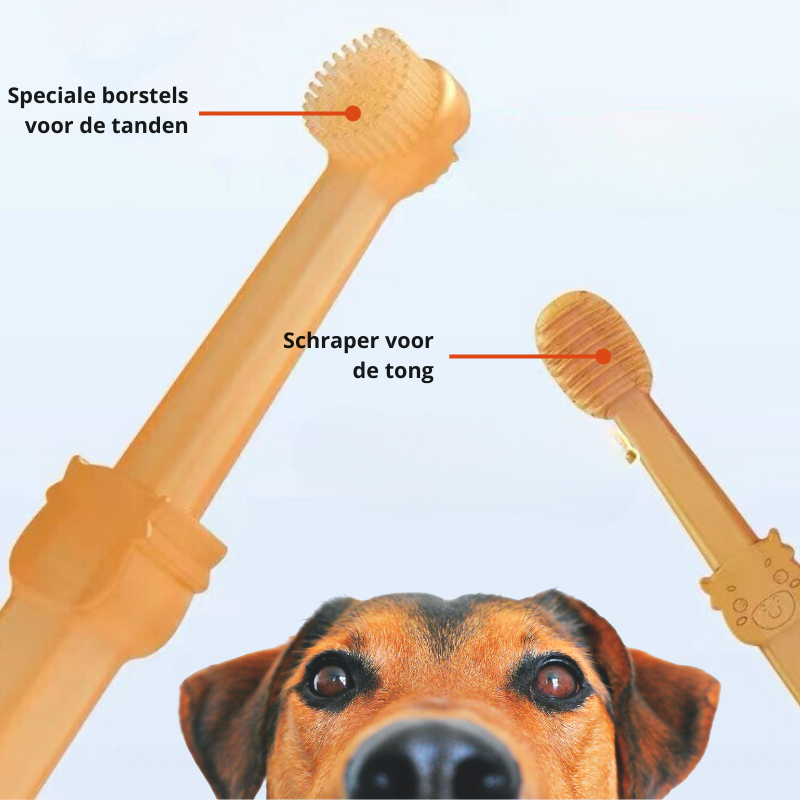 DoggyDent - Gentle Silicone Toothbrush for Dogs and Cats