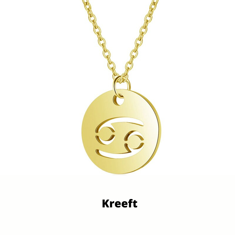 Zodiac Necklace - Tarnish-Resistant Stainless Steel Coin Pendant