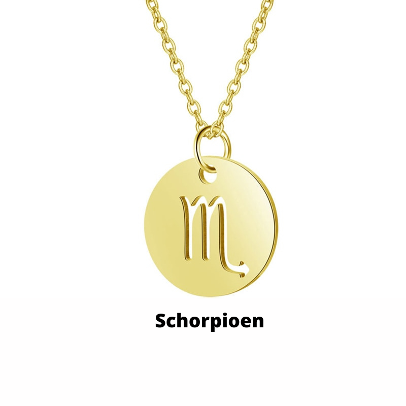 Zodiac Necklace - Tarnish-Resistant Stainless Steel Coin Pendant