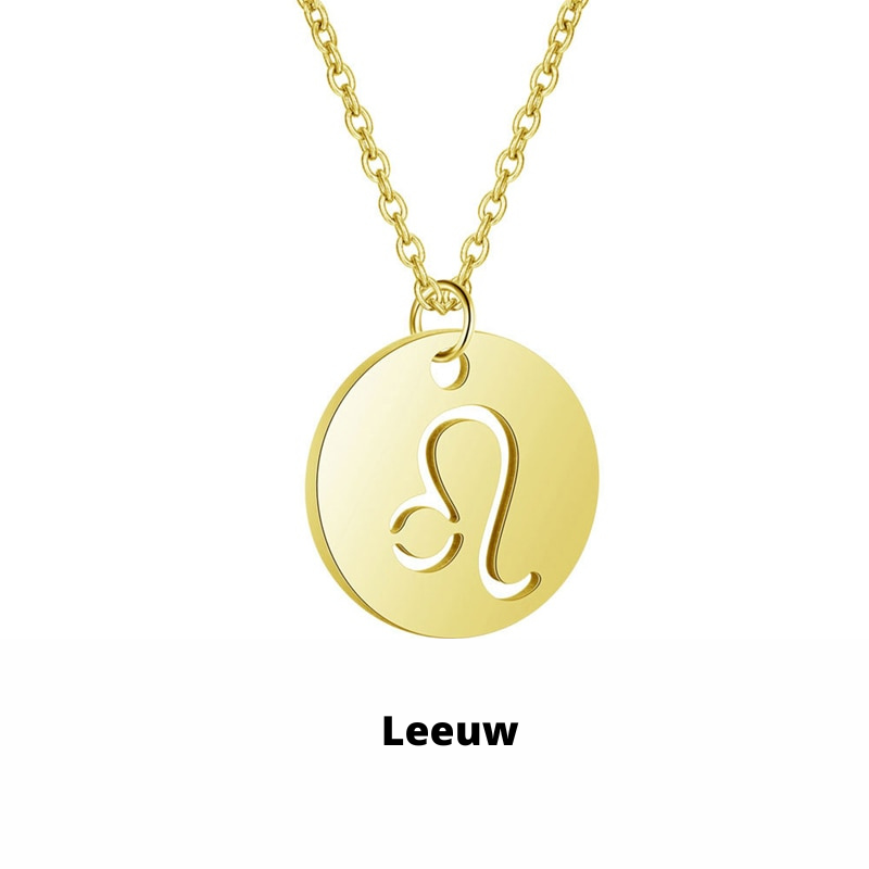 Zodiac Necklace - Tarnish-Resistant Stainless Steel Coin Pendant