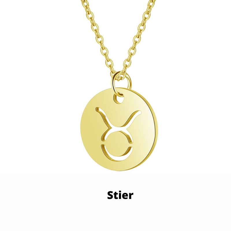 Zodiac Necklace - Tarnish-Resistant Stainless Steel Coin Pendant