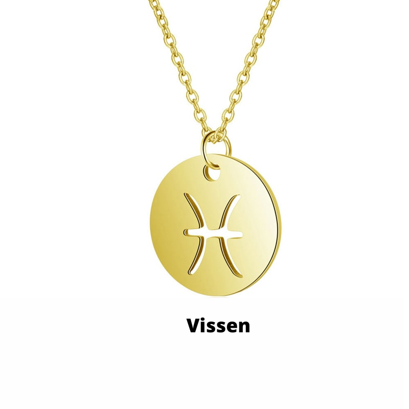 Zodiac Necklace - Tarnish-Resistant Stainless Steel Coin Pendant