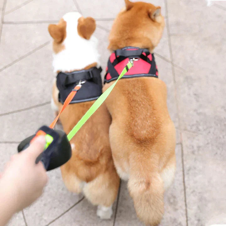 DuoPaw - Retractable No-Tangle Leash for Two Dogs