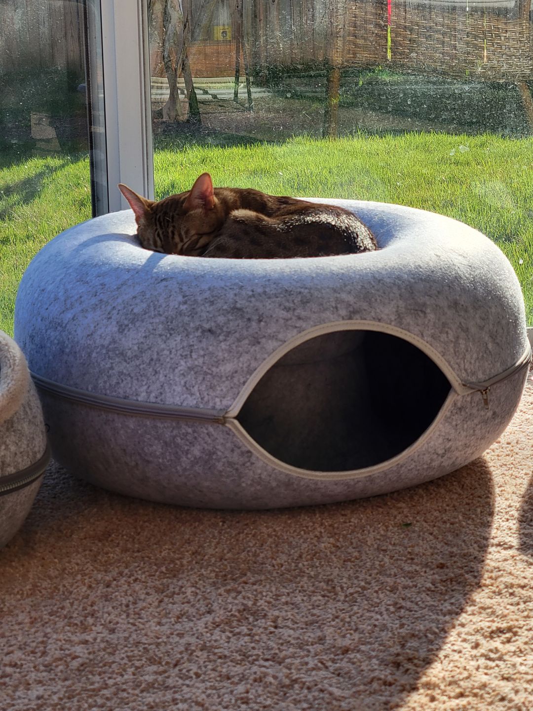 Purrfect Den - Cozy Cat Tunnel with Sleeping Nook