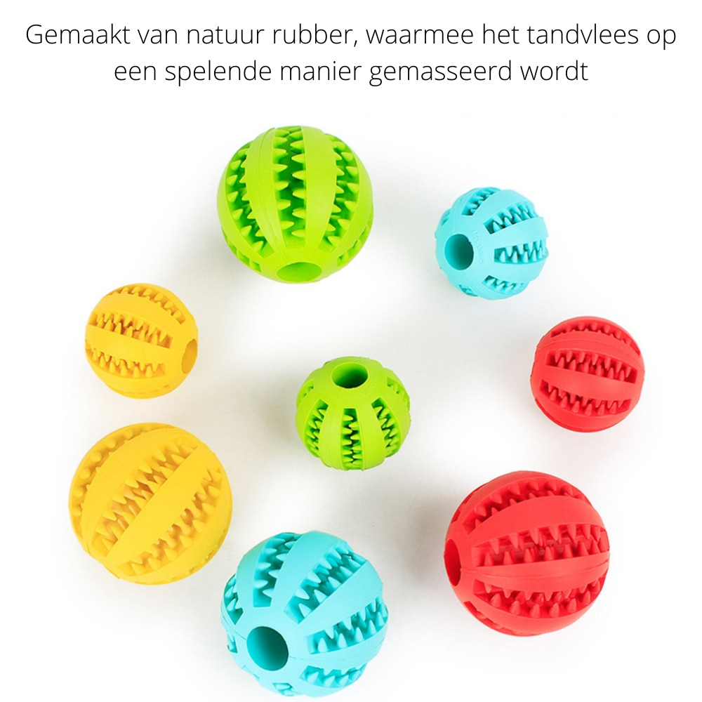 PlayMaster - Durable Interactive Dog Toy for Playtime Fun