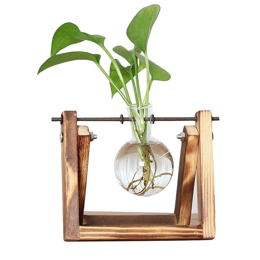 FaunaGrow Pots - Sustainable Glass Propagation Set for Plants