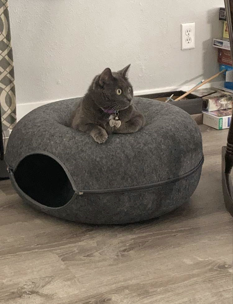 Purrfect Den - Cozy Cat Tunnel with Sleeping Nook