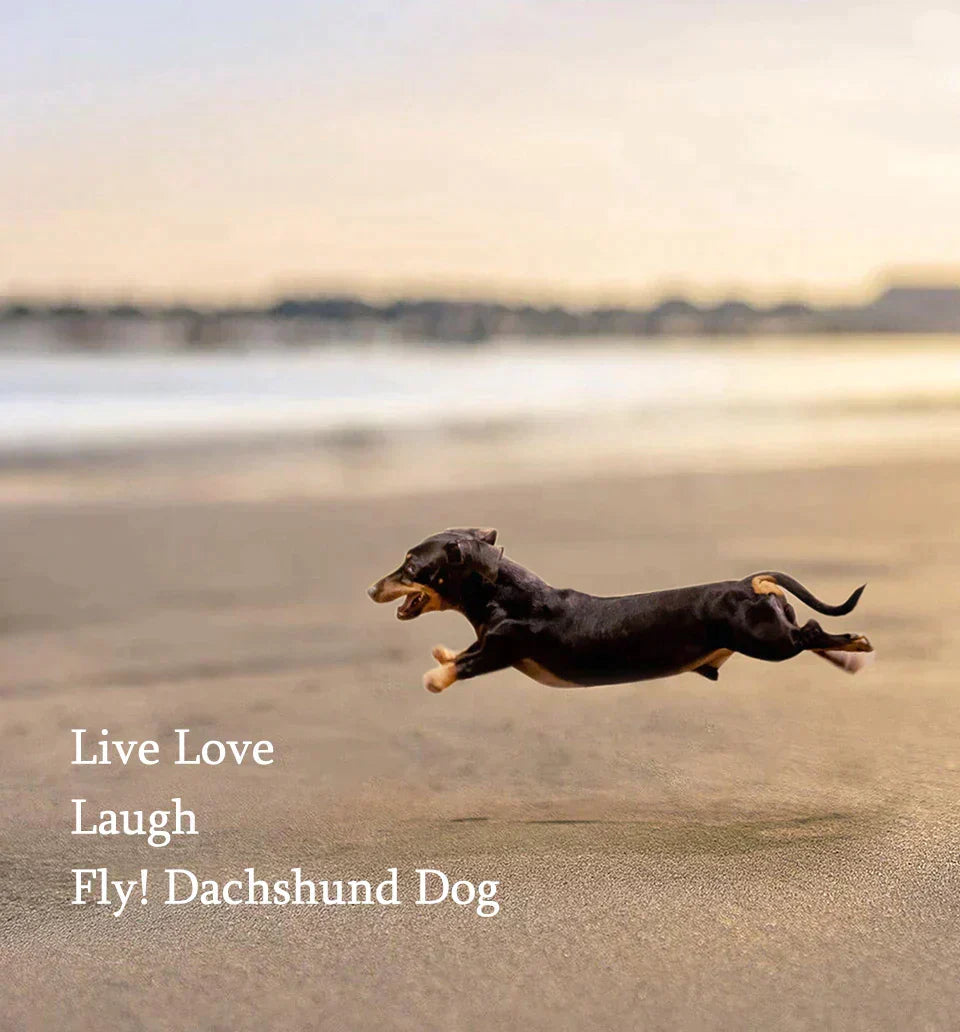 Cute Dachshund Ring - Adorable Sterling Silver Ring for Dog Lovers