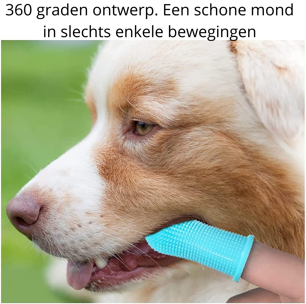 PawClean Pro - Safe Finger Toothbrush for Dogs