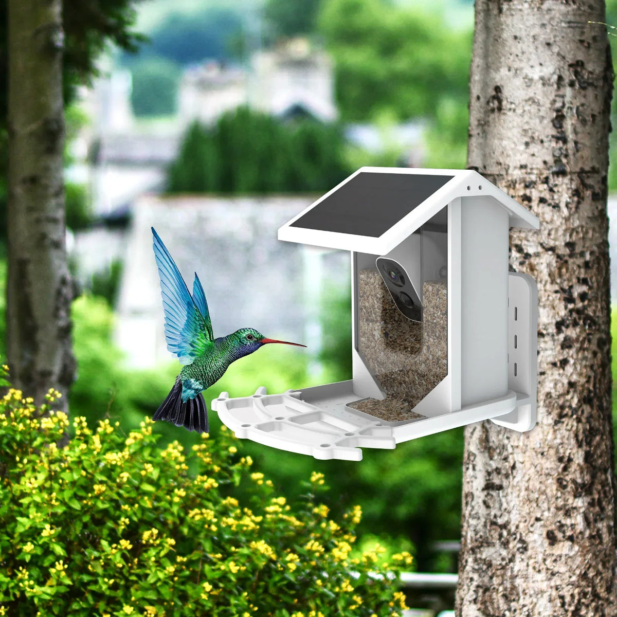 Vlarcen - AI Camera Backyard Feeder