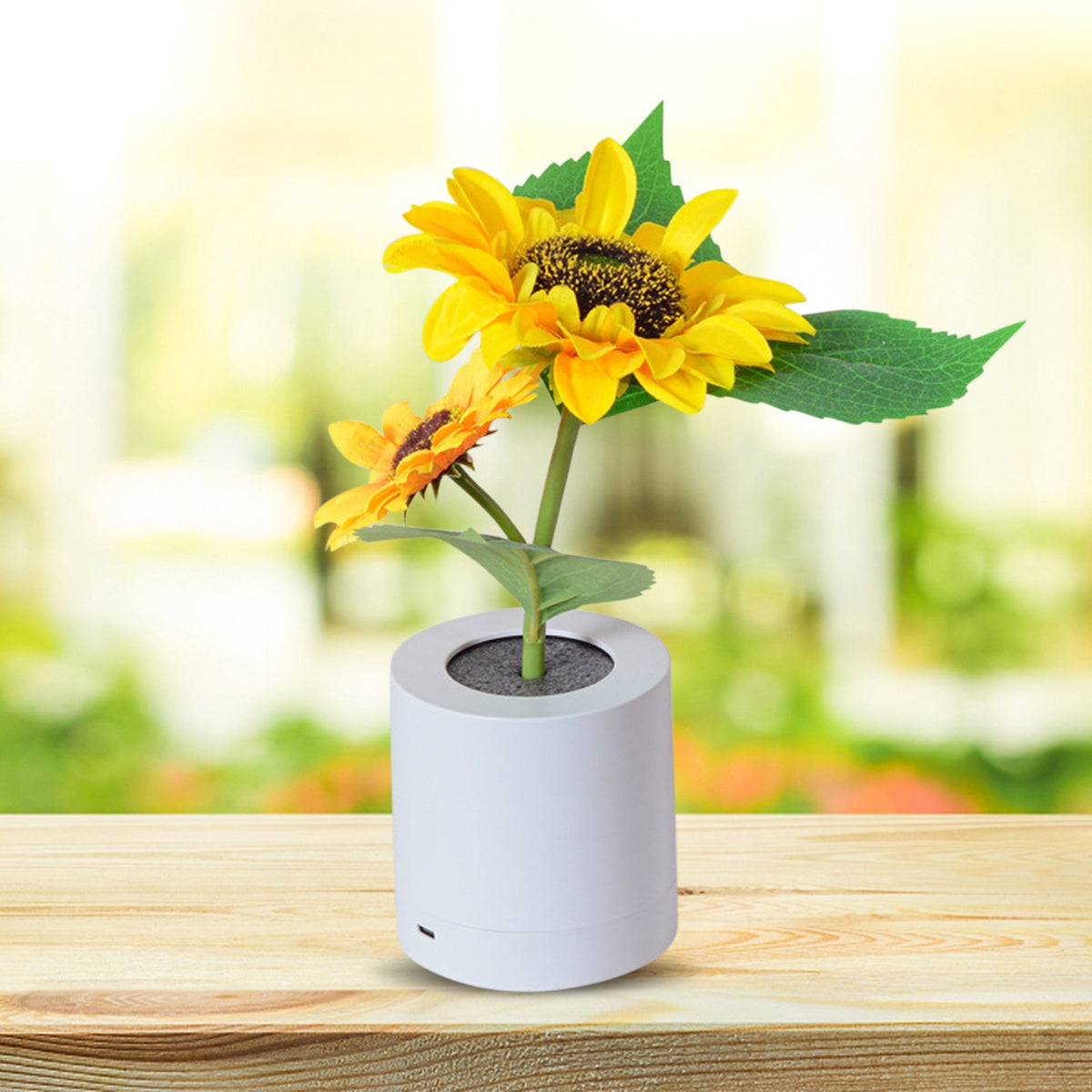 Coro Haven - Wireless Rechargeable LED Night Light