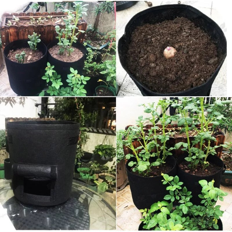 GrowMaster Pots - Stylish Grow Pot for Vegetables