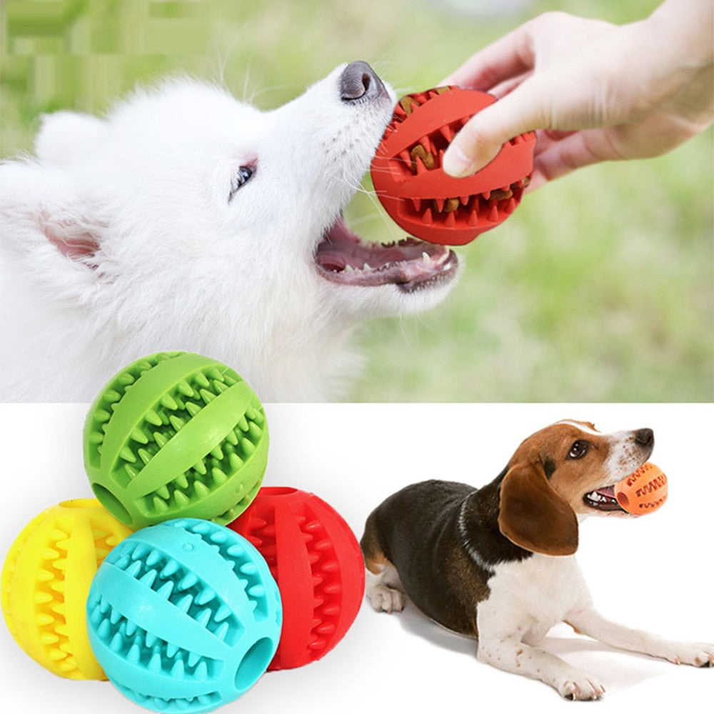 PlayMaster - Durable Interactive Dog Toy for Playtime Fun