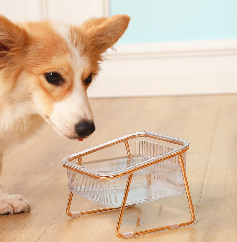 PetChic - Trendy Elevated Feeding Bowl for Cats and Small Dogs