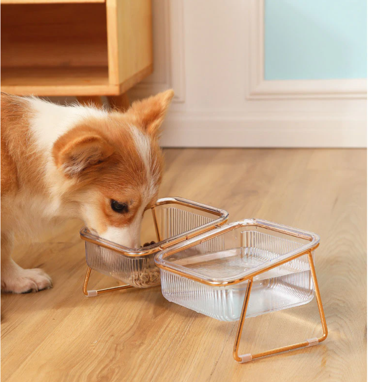 PetChic - Trendy Elevated Feeding Bowl for Cats and Small Dogs