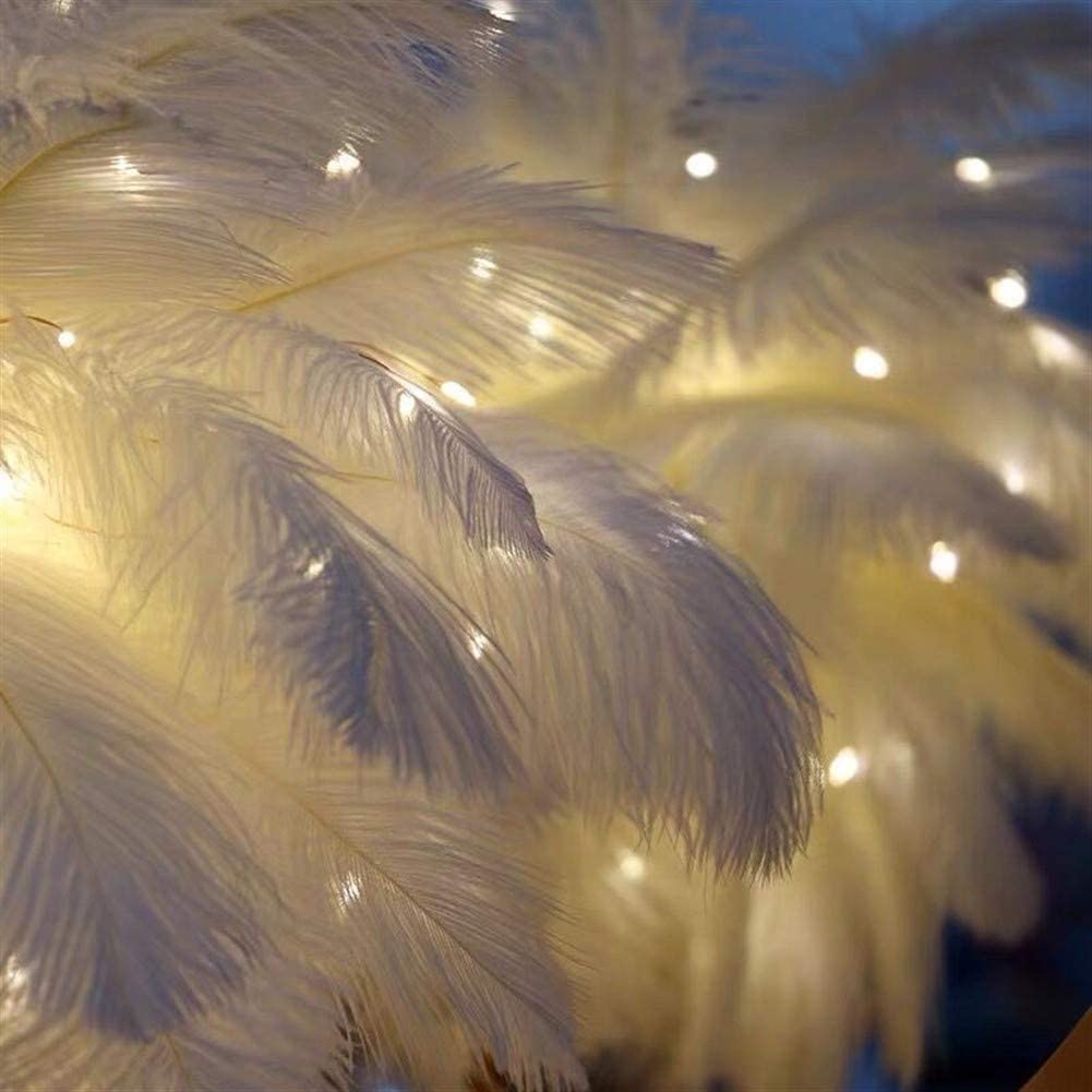 OstrichGlow Nightlight - Unique Ambient Lamp with Pink Base