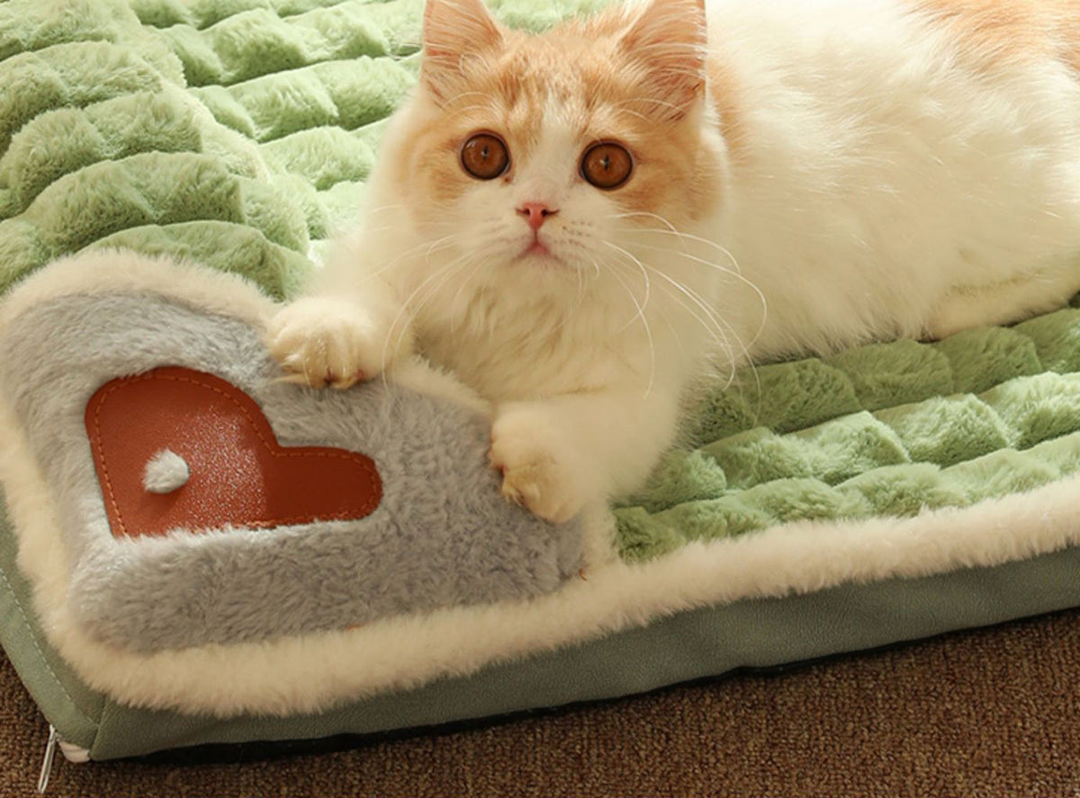 LuxePlush - Warm Plush Dog Bed for Small and Medium Dogs
