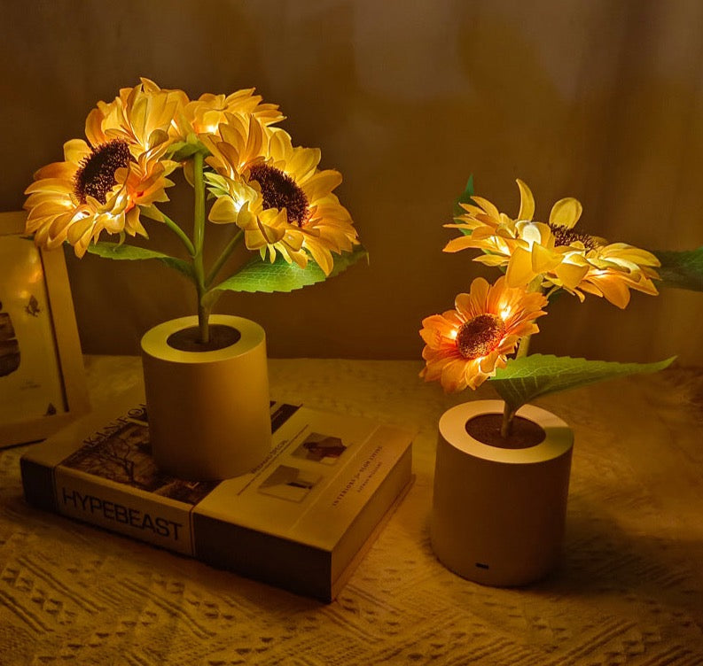 Coro Haven - Wireless Rechargeable LED Night Light