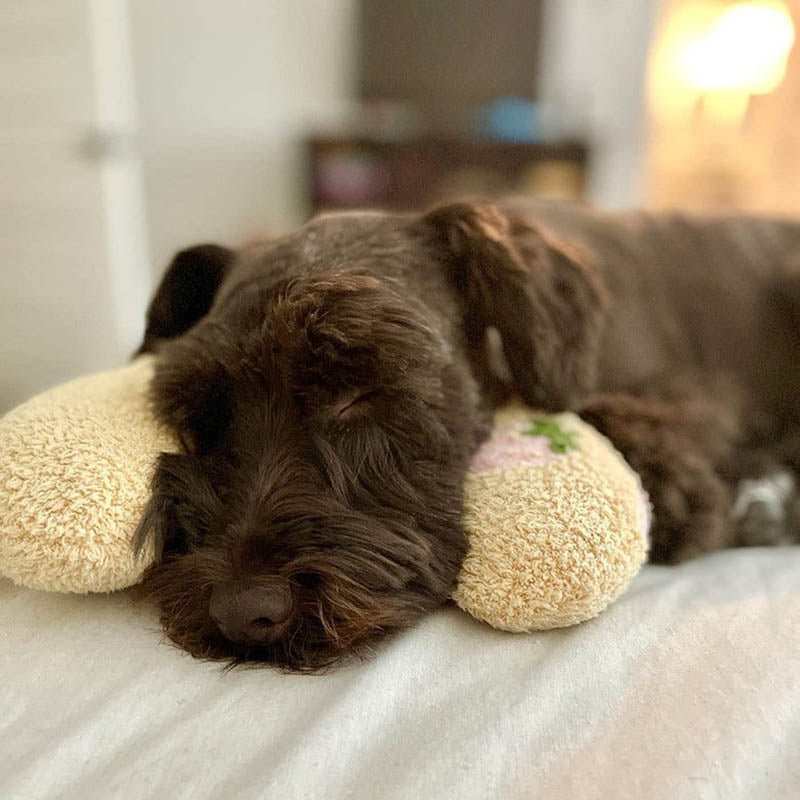 PetEase Luxe - Orthopedic Dog Cushion for Ultimate Comfort