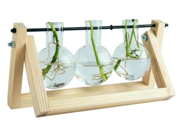 FaunaGrow Pots - Sustainable Glass Propagation Set for Plants