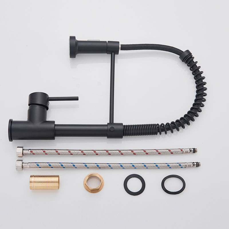 Zoovy Faucet - Stylish Black Kitchen Faucet with Modern Features
