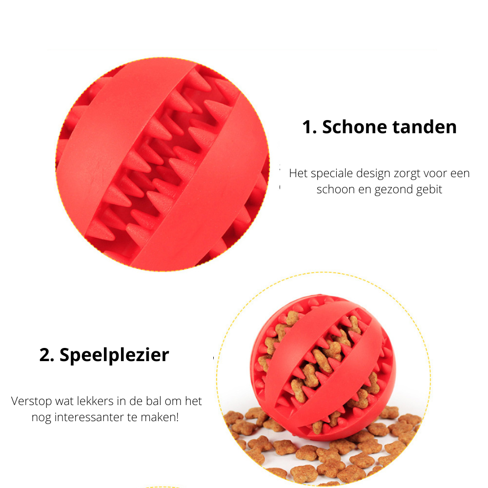 PlayMaster - Durable Interactive Dog Toy for Playtime Fun