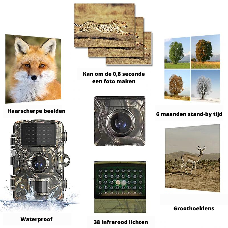 TrailVision - Compact 4K Outdoor Trail Camera with Night Vision