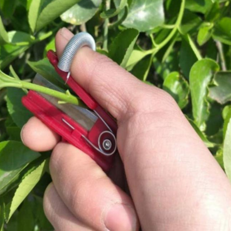 GardenGrip Tool - Effortless Fruit and Vegetable Picking