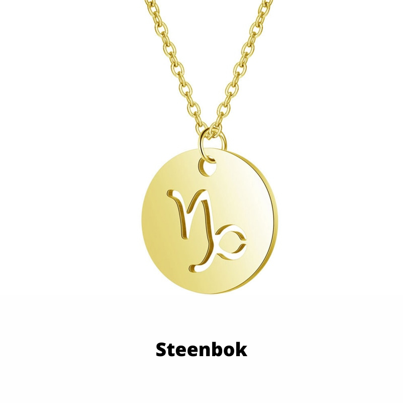 Zodiac Necklace - Tarnish-Resistant Stainless Steel Coin Pendant