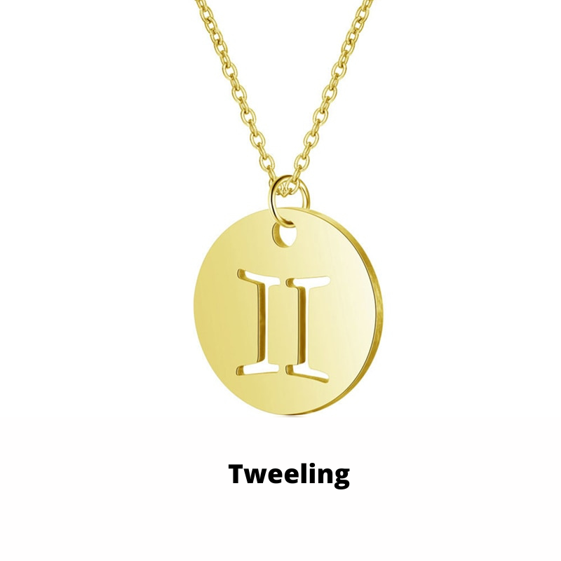 Zodiac Necklace - Tarnish-Resistant Stainless Steel Coin Pendant