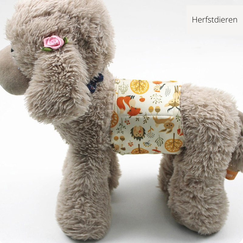 CleanPaw - Washable Dog Diaper for Worry-Free Comfort
