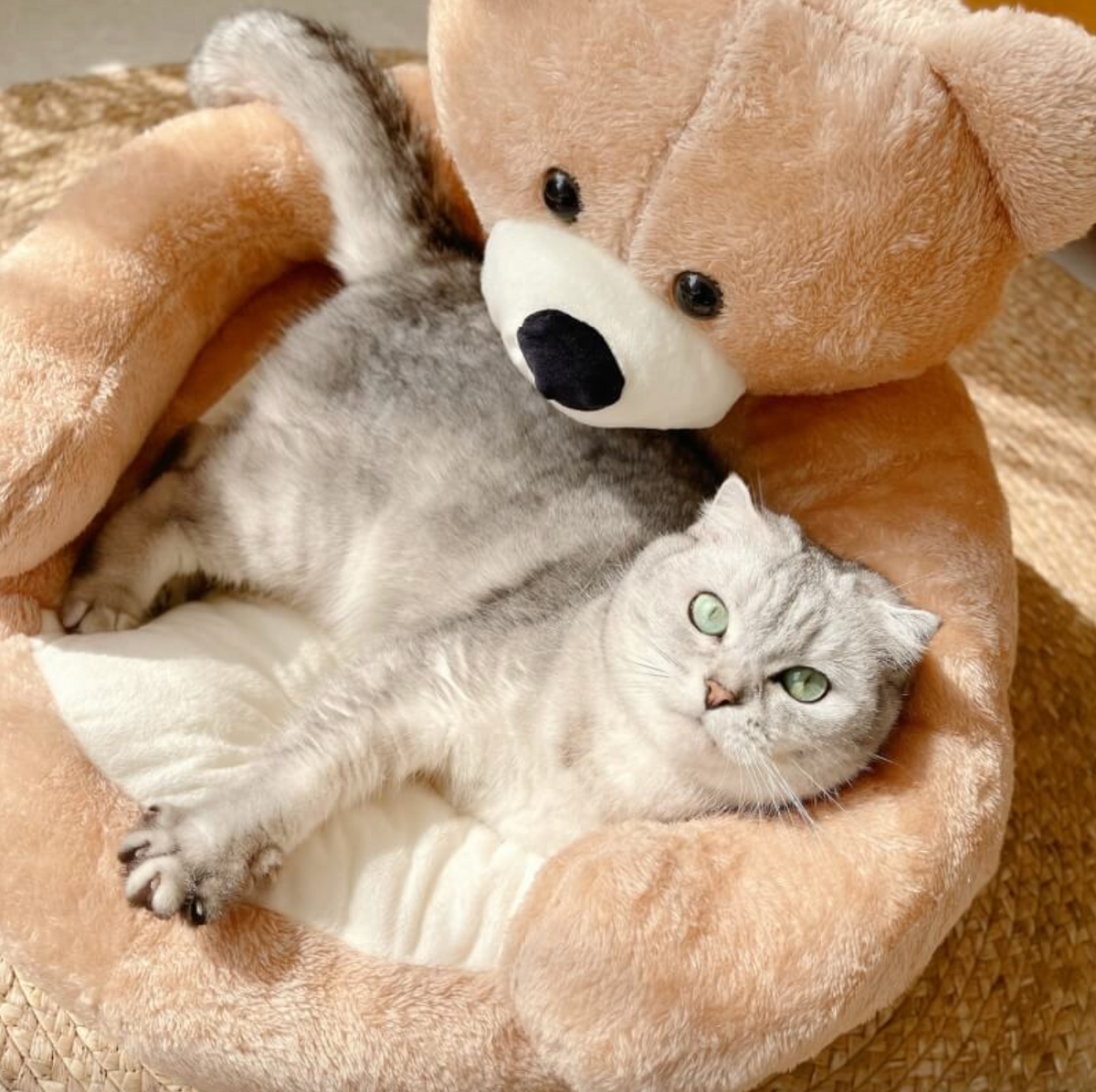 Samiya - Plush Cat Bed for Cozy, Comfortable Sleep
