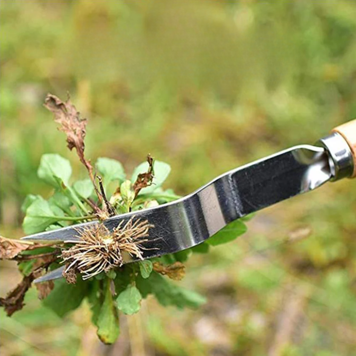 Mindrick - Manual Garden Weed Removal Tool