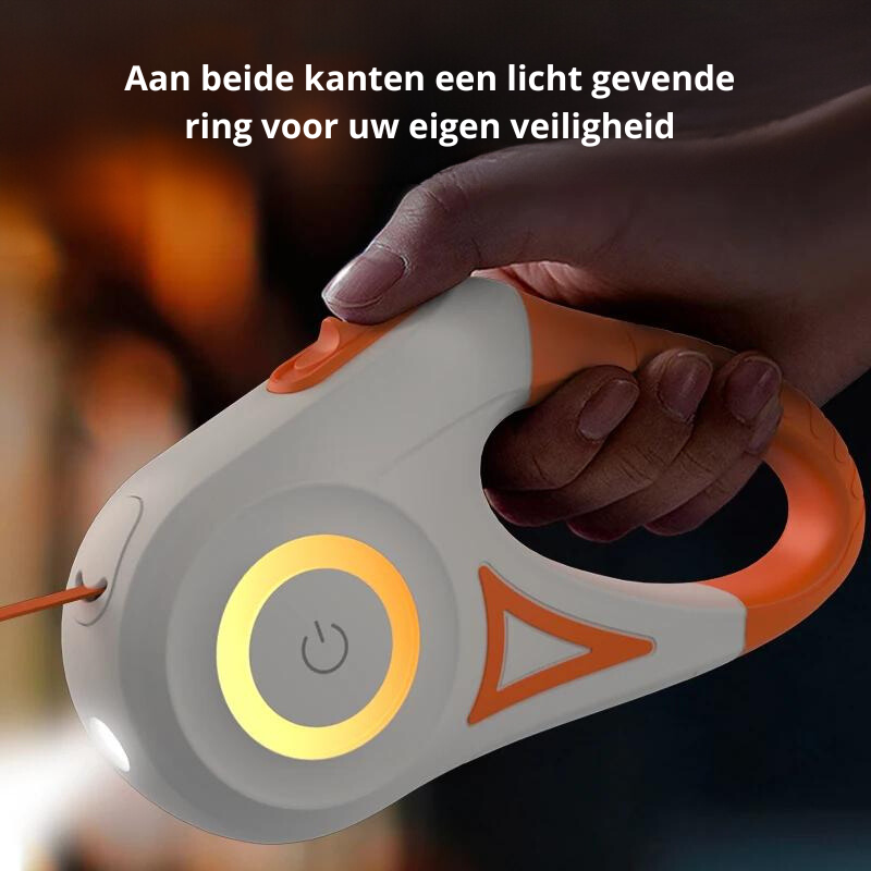 SafeWalk Leash - Illuminated Dog Leash for Safe Night Walks