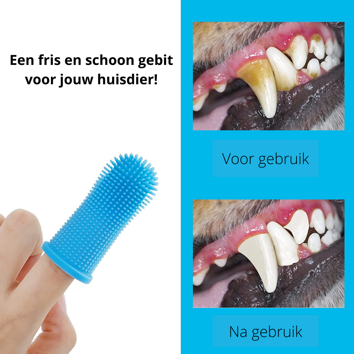 PawClean Pro - Safe Finger Toothbrush for Dogs