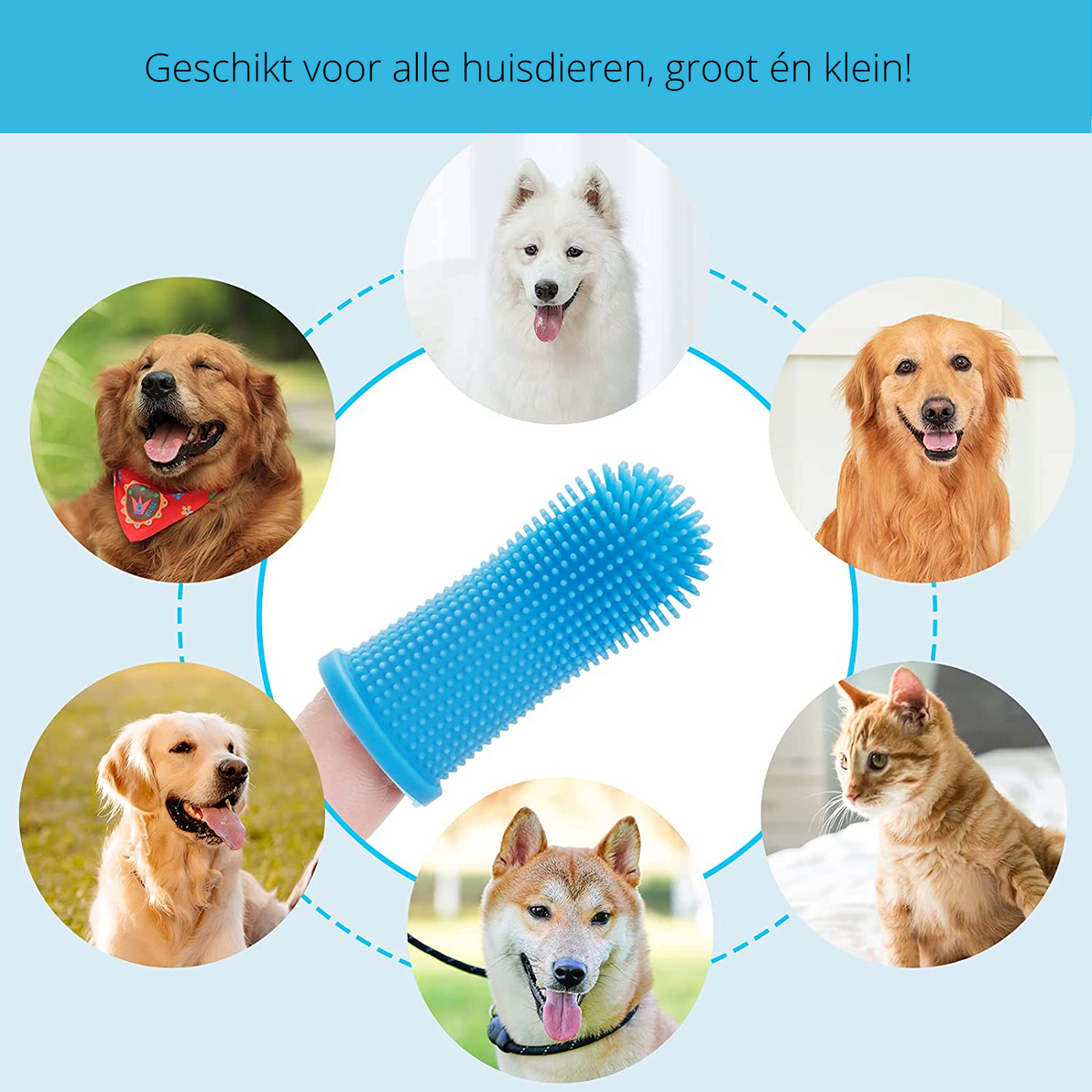 PawClean Pro - Safe Finger Toothbrush for Dogs