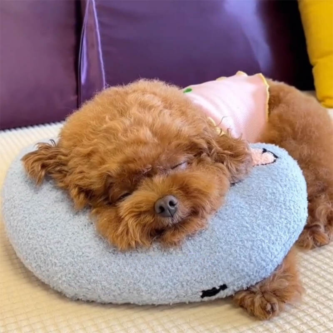 PetEase Luxe - Orthopedic Dog Cushion for Ultimate Comfort