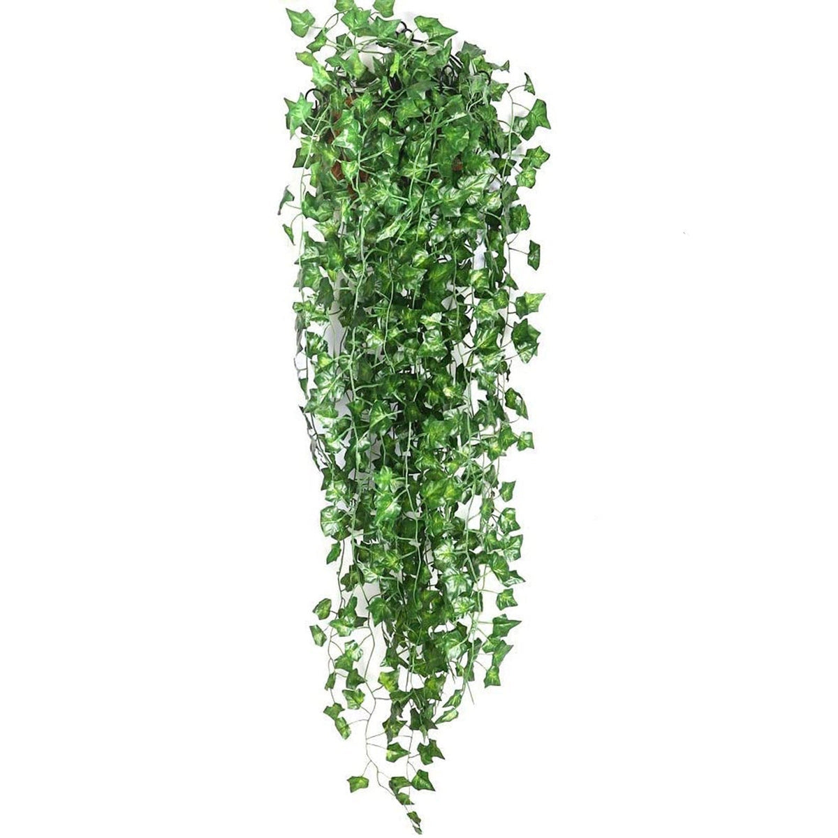 EvergreenGlow - Always Green Plants for Every Season