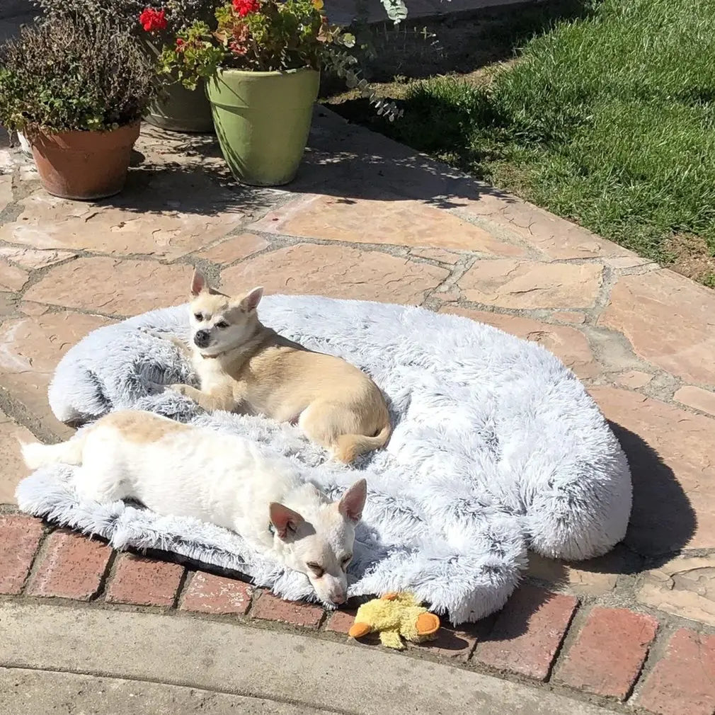 Quishy PetBed - Cozy Washable Plush Blanket