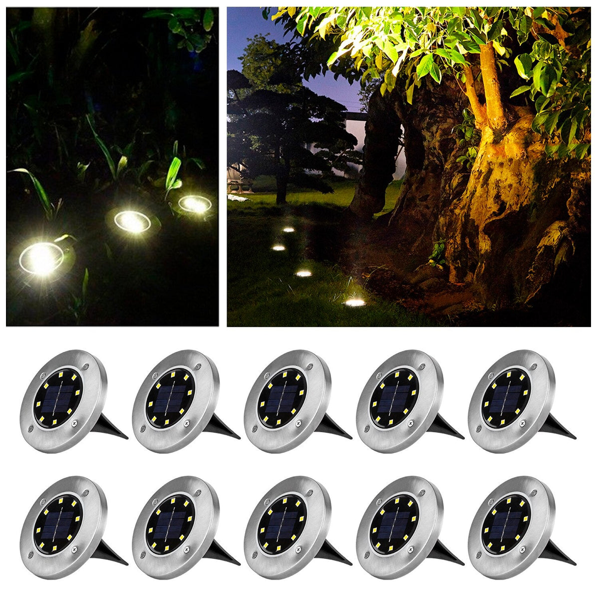 Leaf Harbor - Automatic Outdoor Pathway Lighting