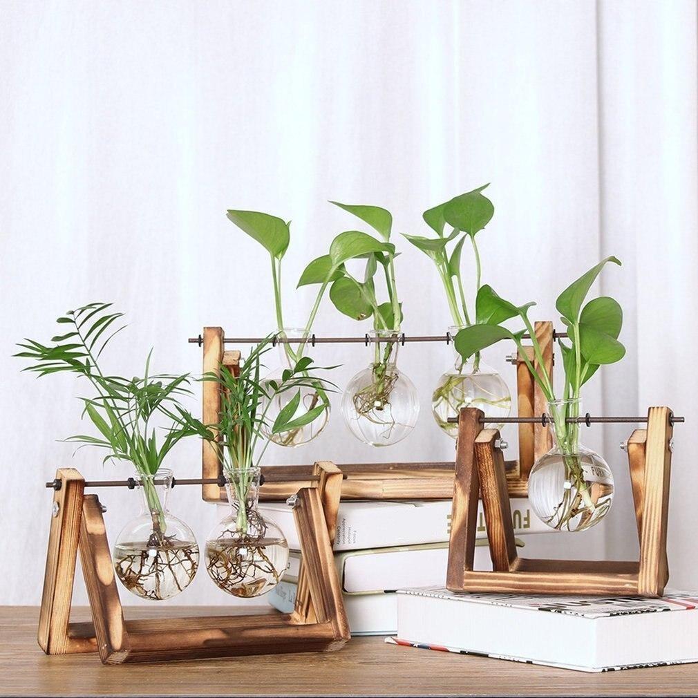 FaunaGrow Pots - Sustainable Glass Propagation Set for Plants