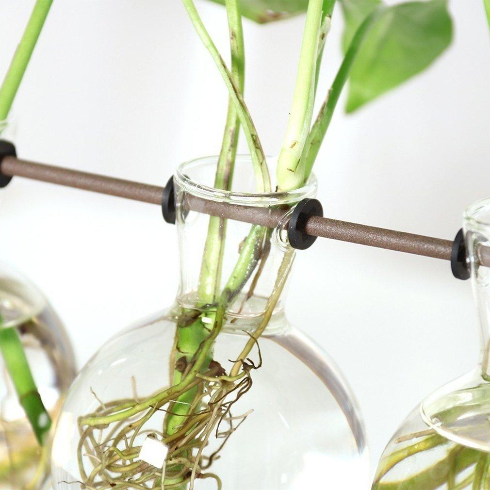 FaunaGrow Pots - Sustainable Glass Propagation Set for Plants