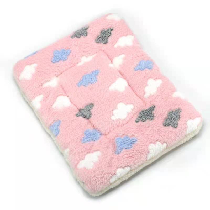 PetCloud - Ultra-Soft Fleece Pet Cushion for Cats and Dogs