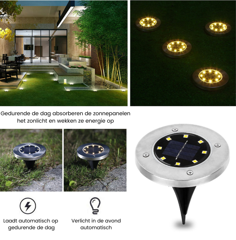 Leaf Harbor - Automatic Outdoor Pathway Lighting