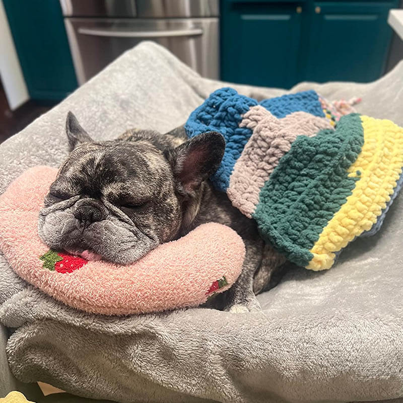 PetEase Luxe - Orthopedic Dog Cushion for Ultimate Comfort