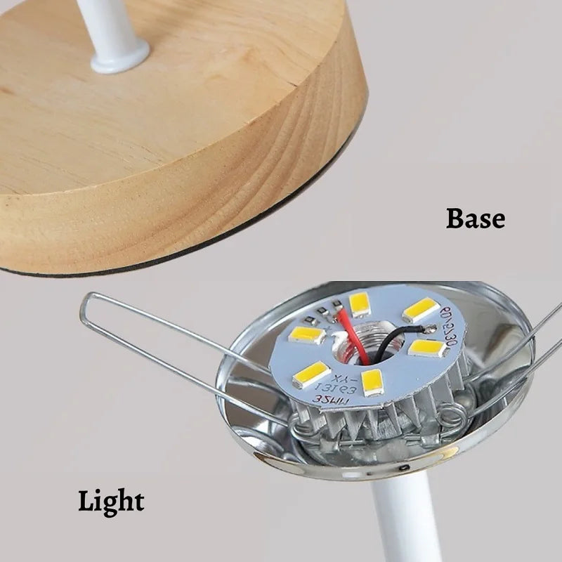 Fravendo - Adjustable LED Accent Lighting