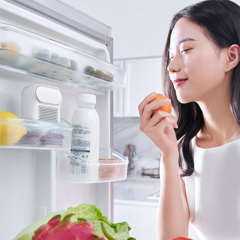 FreshBreeze - Ozone Fridge Deodorizer for Fresh Air