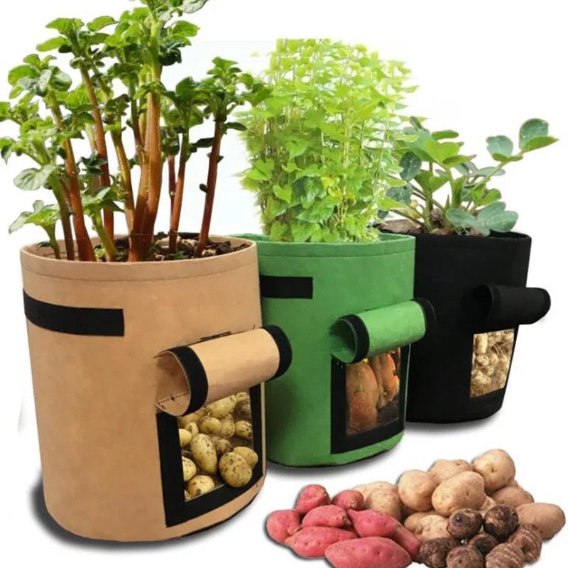 GrowMaster Pots - Stylish Grow Pot for Vegetables