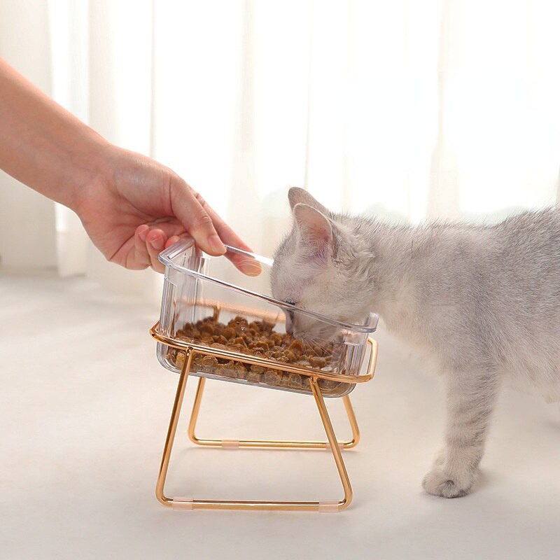 PetChic - Trendy Elevated Feeding Bowl for Cats and Small Dogs